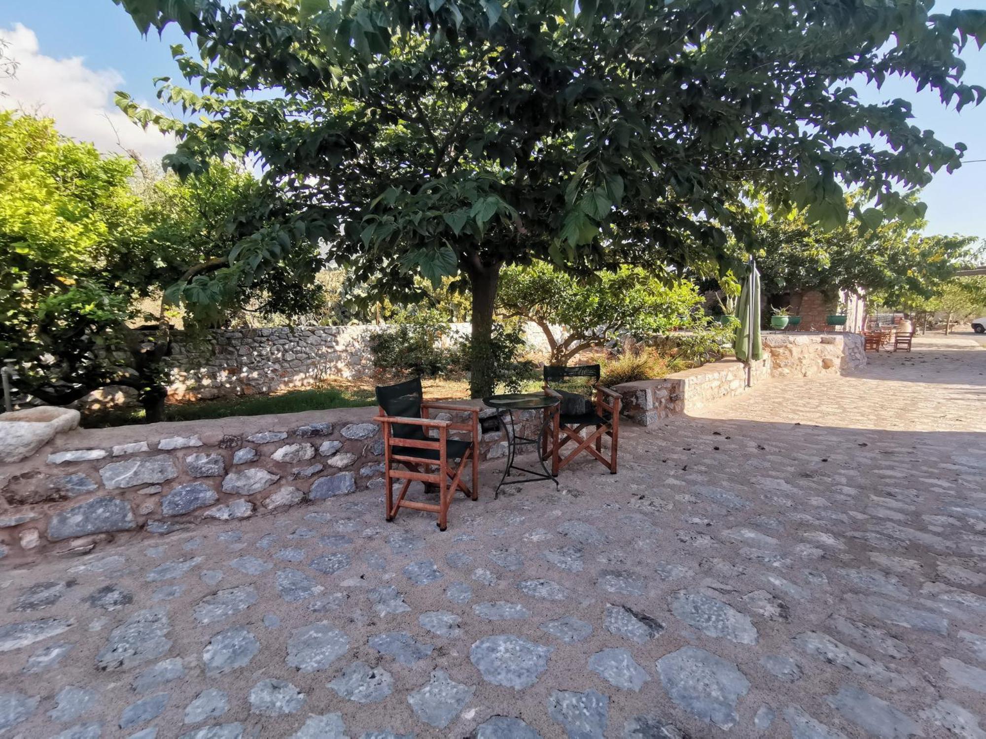 Toxotis Апарт-отель Pyrgos Dirou